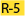 R-5 Single-Family Urban Residential Category
