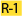 R-1 Single-Family Constrained Residential Category
