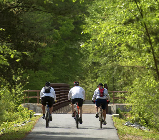 Cyclists